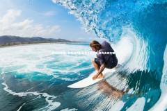 熊猫app官方网站|伊万科维奇，对阵澳大利亚更注重进攻 塞鸟表现抢眼