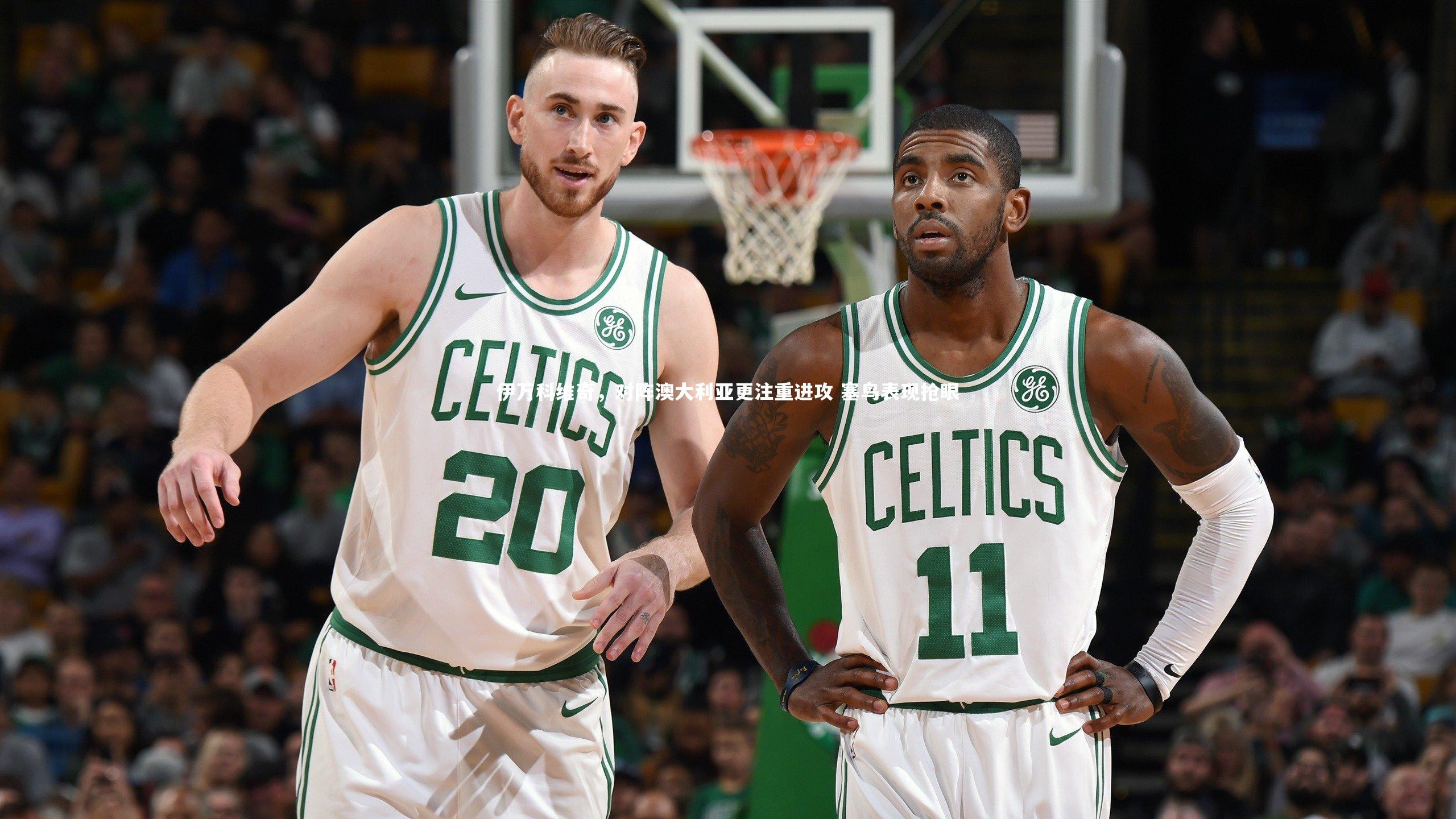 伊万科维奇，对阵澳大利亚更注重进攻 塞鸟表现抢眼